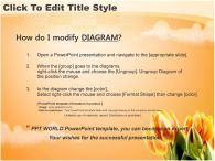 구름 꽃 PPT 템플릿 튤립이 있는 템플릿_슬라이드3