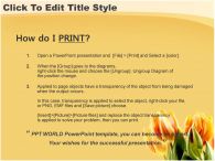 구름 꽃 PPT 템플릿 튤립이 있는 템플릿_슬라이드4