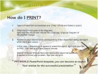 나무 위 치타 푸른하늘 PPT 템플릿 세렝게티, 여러 모습의 치타_슬라이드4
