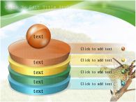 나무 위 치타 푸른하늘 PPT 템플릿 세렝게티, 여러 모습의 치타_슬라이드12