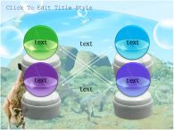 초원의 캥거루 아기 캥거루 PPT 템플릿 호주의 자연 속 캥거루_슬라이드5