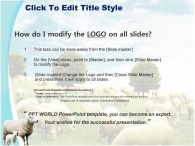 방목 들판 PPT 템플릿 초원의 양떼와 양가족_슬라이드2