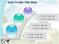 방목 들판 PPT 템플릿 초원의 양떼와 양가족_슬라이드8