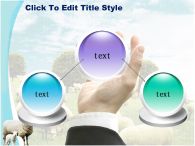 방목 들판 PPT 템플릿 초원의 양떼와 양가족_슬라이드10
