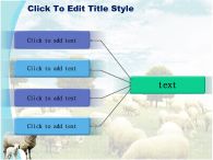 방목 들판 PPT 템플릿 초원의 양떼와 양가족_슬라이드14