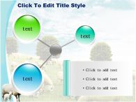 방목 들판 PPT 템플릿 초원의 양떼와 양가족_슬라이드15