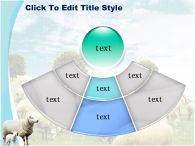 방목 들판 PPT 템플릿 초원의 양떼와 양가족_슬라이드21