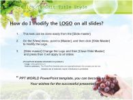 손 포도밭 PPT 템플릿 포토덩쿨과 포도를 든 손_슬라이드1